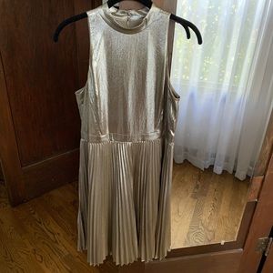 Petite Shimmer Chiffon Pleated Dress